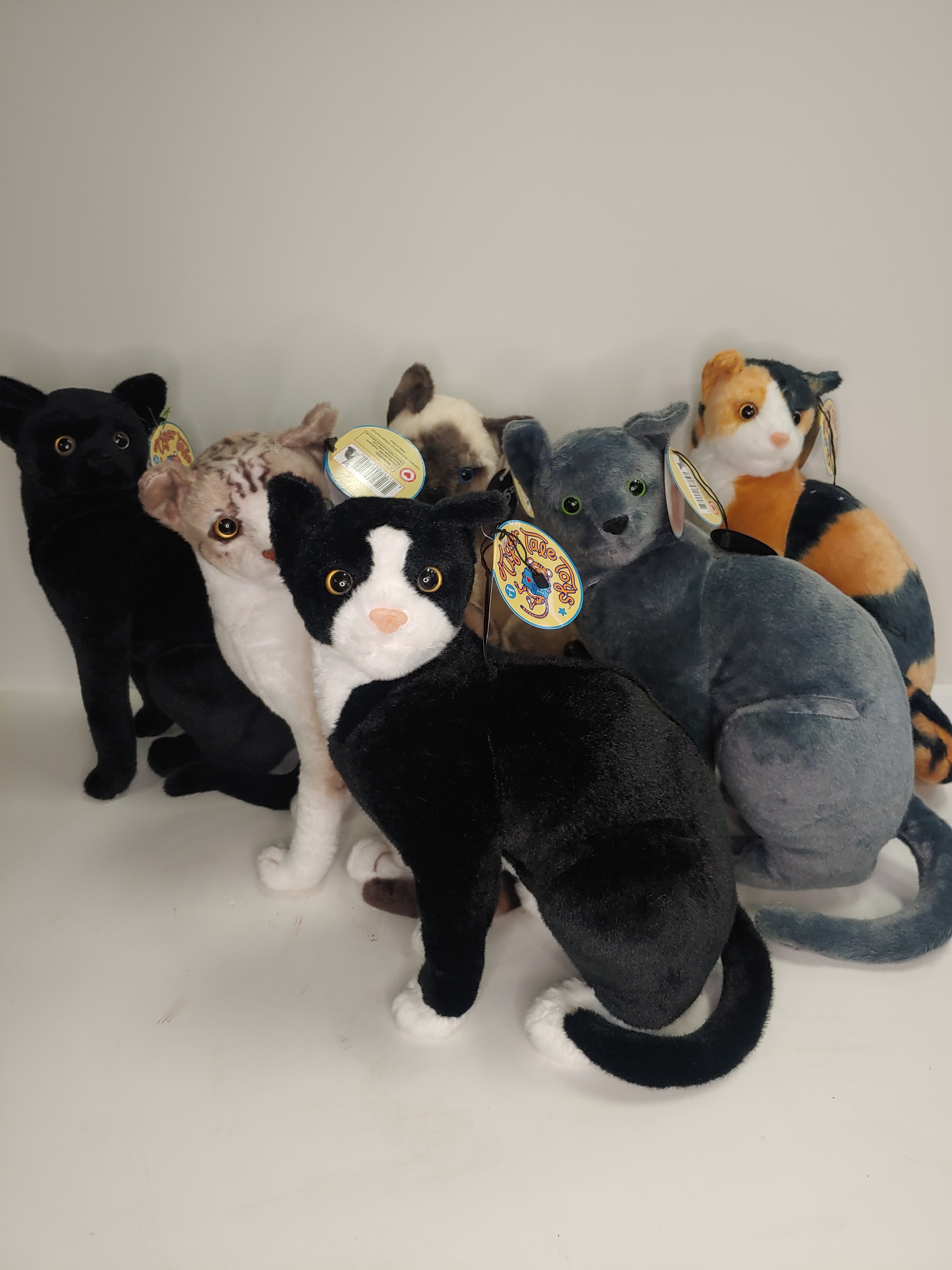 Stuffed Cats